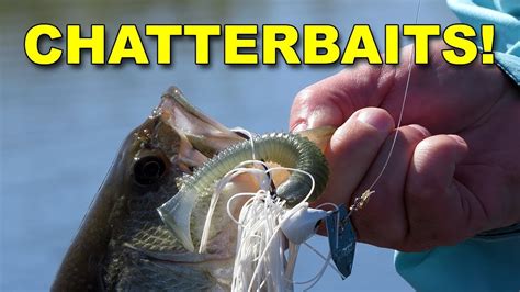 Chaterbait live. Things To Know About Chaterbait live. 